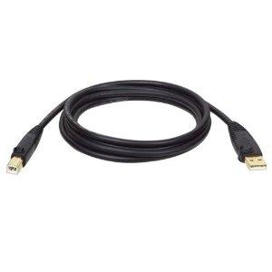 Tripp Lite Passive Cable - Usb 2.0 A - Male - Usb 2.0 B - Male - 10feet - Black